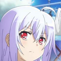 80456 B