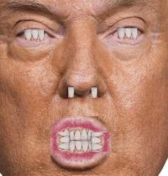 202250 B