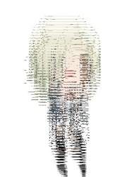 28738 B
