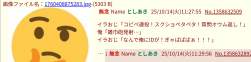 255244 B