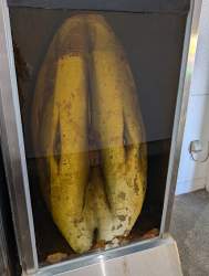 75498 B