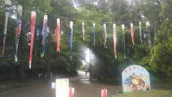 1176484 B