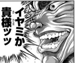 24234 B