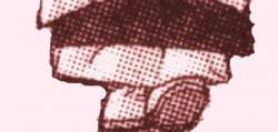 15869 B