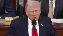 7977618 B