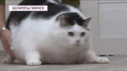 1830502 B
