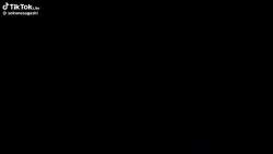 1262407 B