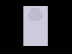 8155236 B