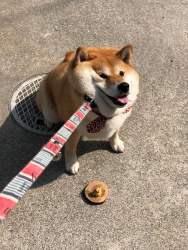 1108780 B