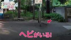 7283781 B