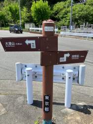 594279 B