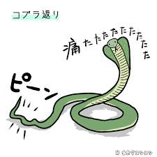 8069 B