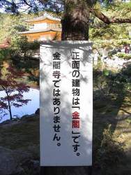 87677 B