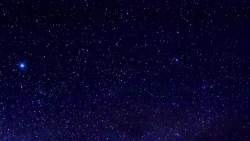 7629954 B