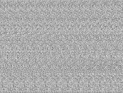 54566 B