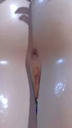 426651 B