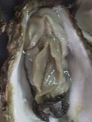 54076 B