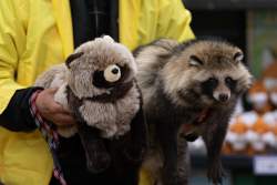 650569 B