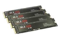 55904 B