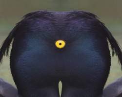 113015 B