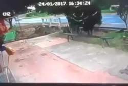 1523908 B