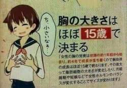 155804 B