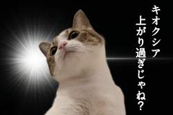 2047980 B