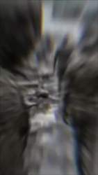 4639310 B