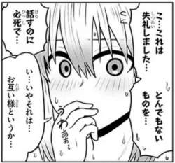 91066 B