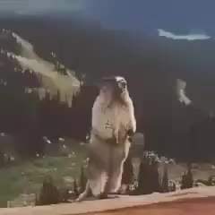 588270 B