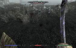 856365 B