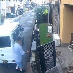 378622 B