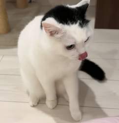 829783 B