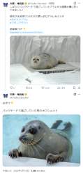 649144 B