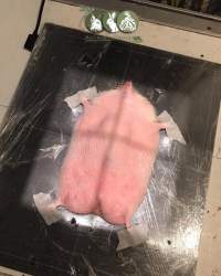 577983 B