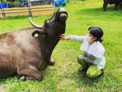221347 B