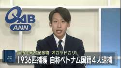 66654 B
