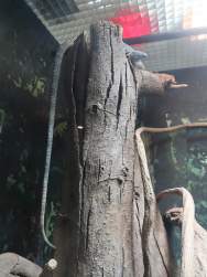 517269 B