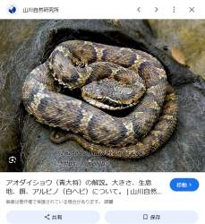 618224 B