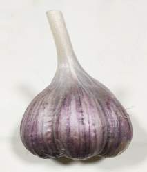 607362 B