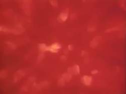 7432256 B