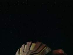 8155933 B