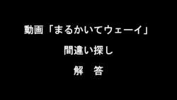8088246 B