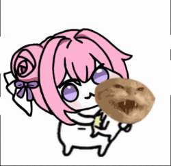429223 B