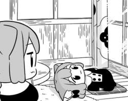 55033 B