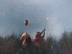 11571 B