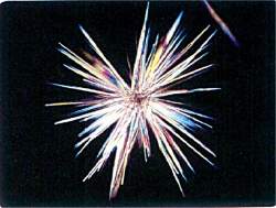 89176 B