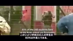 4427962 B