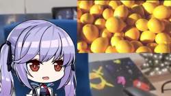 3444665 B