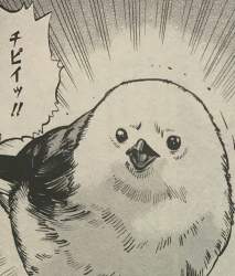 139233 B